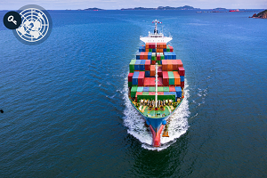 Special Session 'How to Access international Markets'